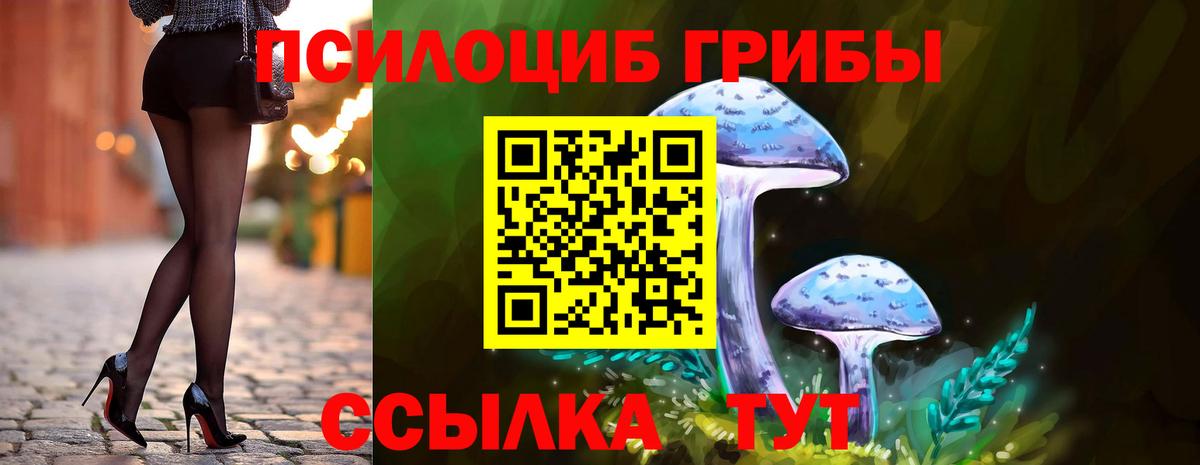 Галлюциногенные грибы Cubensis  Вход с VPN  Хабаровск  Псилоцибиновые грибы Magic Shrooms 